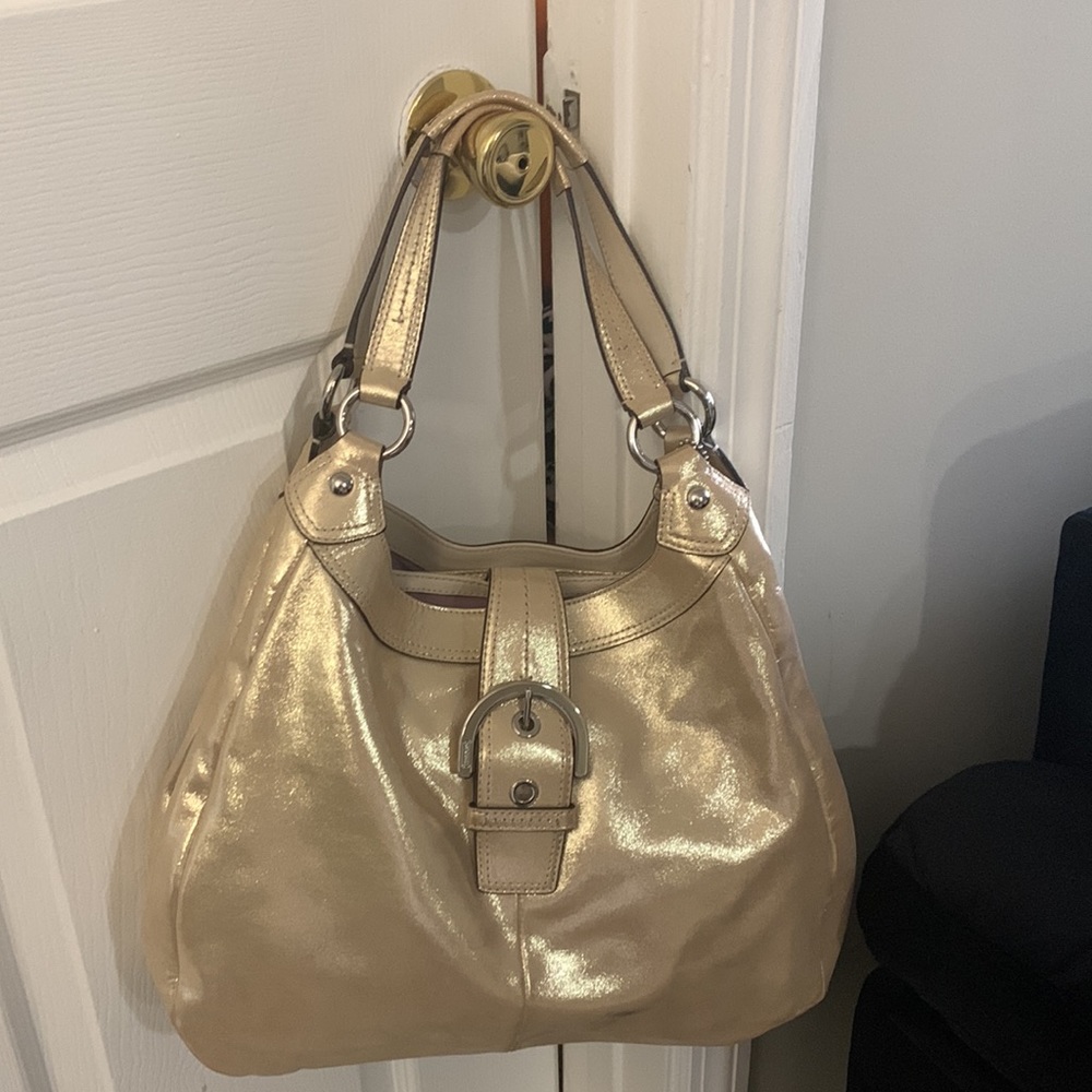 Medium Coach hobo. Only wear 1 time and got dirt on lower left side of bag.